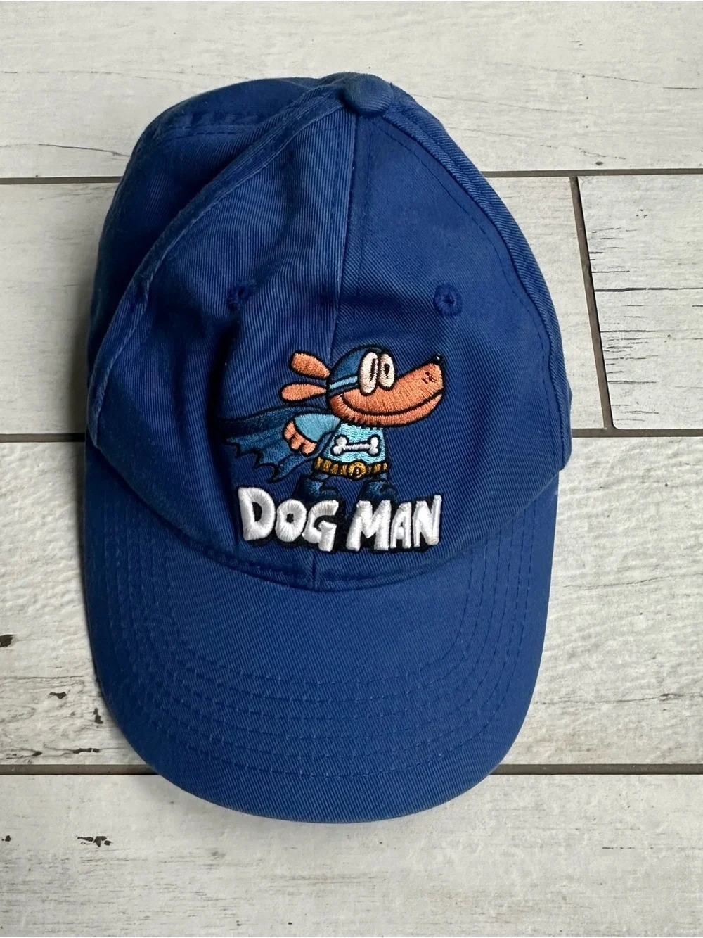 Scholastic Dog Man Hat
